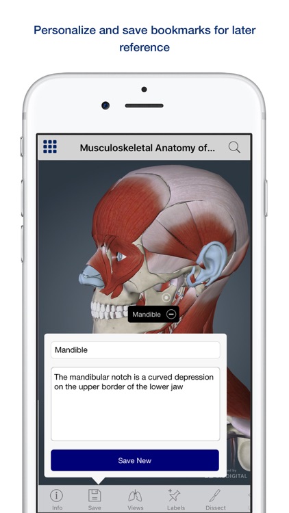 Muscle Anatomy: A Johns Hopkins Medicine 3D App screenshot-3