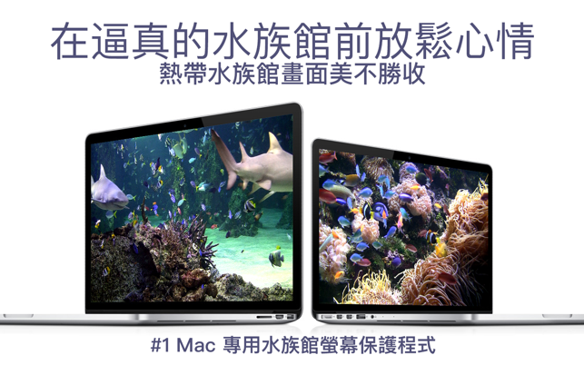 水族館HD+: 湛藍海洋螢幕保護程式(圖2)-速報App