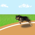 Top 50 Games Apps Like 3D Virtual Dog Racing and Stunts 2017 Tournament - Best Alternatives