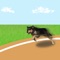 Welcome to the dog derby, lets start the racing mania, your dog racing with stunt and jump adventures are just about to start