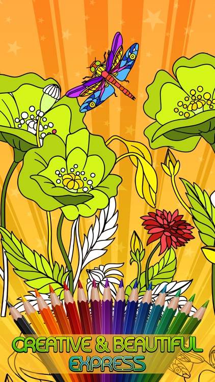 Adult Coloring Book - Creatively Calm Mind