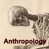 Anthropology Glossary-Study Guides and Terminology