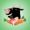 Veganagogo is a fun and easy way to communicate your vegan dietary requirements almost anywhere in the world