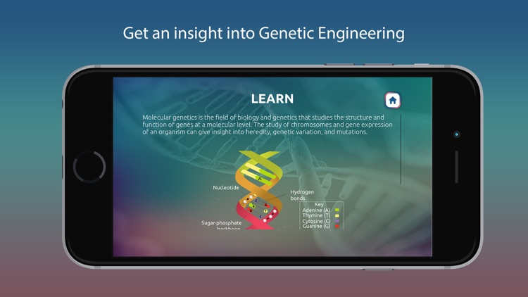 Genetics and Molecular Biology
