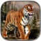 The Grand Tiger Simulator is a third person hunting simulation game that recreates hunting wild animals in as realistic a manner as possible