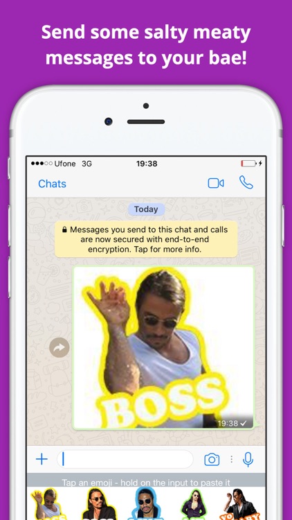 SaltBaeMoji - Salty Stickers