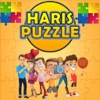 Haris Puzzle 2017