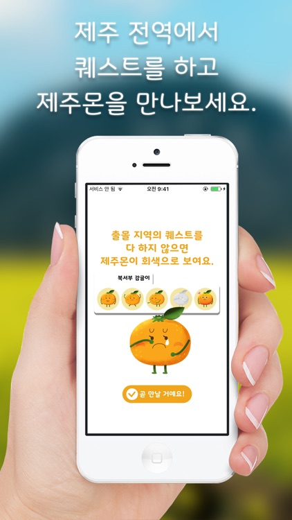 제주도감