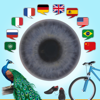 JOURIST Visual Dictionary pour PC