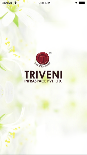 Triveni Infra