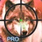 Angry Wolf Day Pro : Ultimate Wild Animal