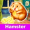 Hungry Hamster - Love Cheese