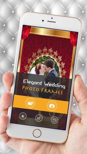Elegant Wedding Photo Frames Album