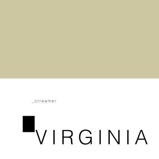 VIRGINIA BEACH ctreamer icon