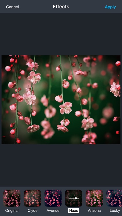 10000+ Wallpapers | FREE Backgrounds & Themes screenshot-3