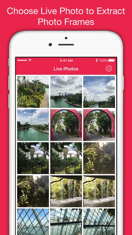 Live Photo Frame Extractor & Photo Editor