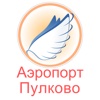 Pulkovo Airport Flight Status