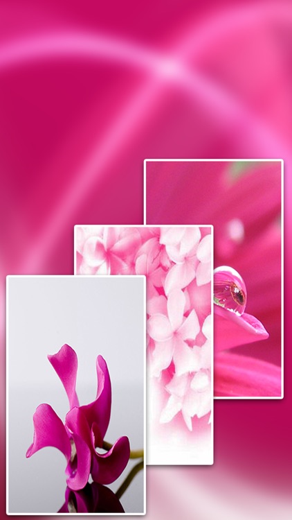 Full HD Pink Wallpapers screenshot-3