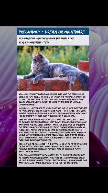 The Cat Mag Magazine