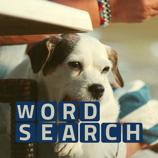 Wordsearch Revealer Pets iOS App