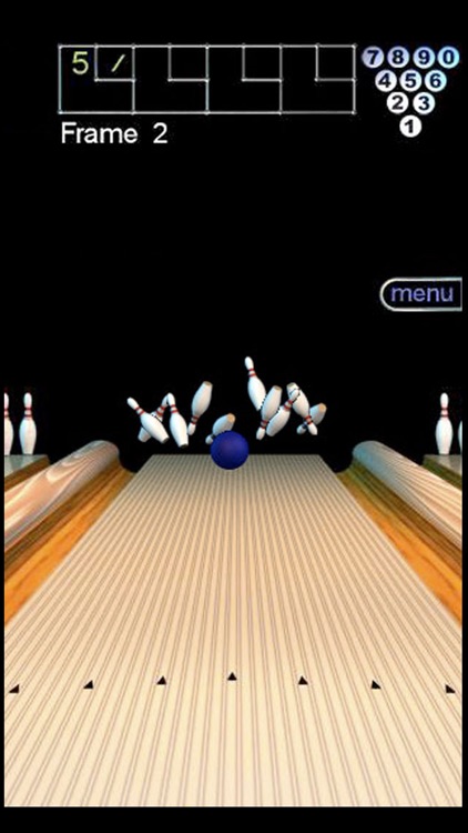 300 Bowl Universal