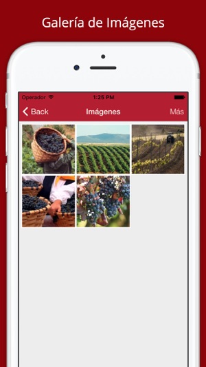 Vinos Ribera del Duero(圖5)-速報App