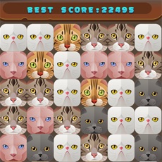 Activities of Cat Legend Fun 2017