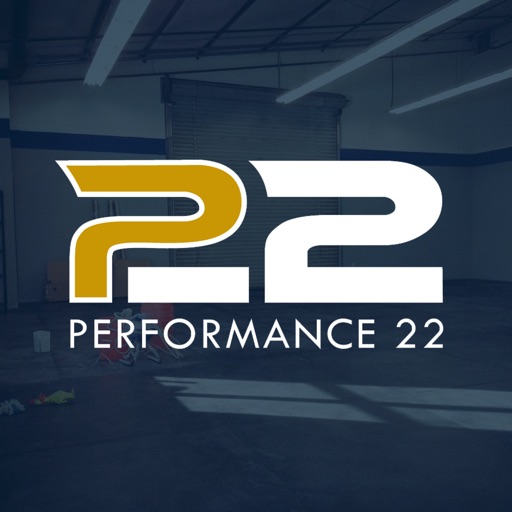 Performance 22 icon