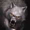 ====== BEST WEREWOLF WALLPAPERS APP EVER