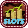 Play Casino - Free Slots Bonus