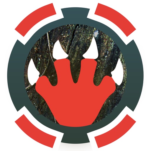 Survival Guide for Ark Survival(Unofficial Guide)