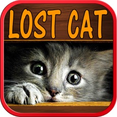 Activities of Lost Cat running game for kids – Angela Pet Kitten