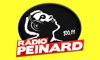 Radio Peinard