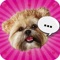 Text and share a Munchkin the Teddy Bear emojis