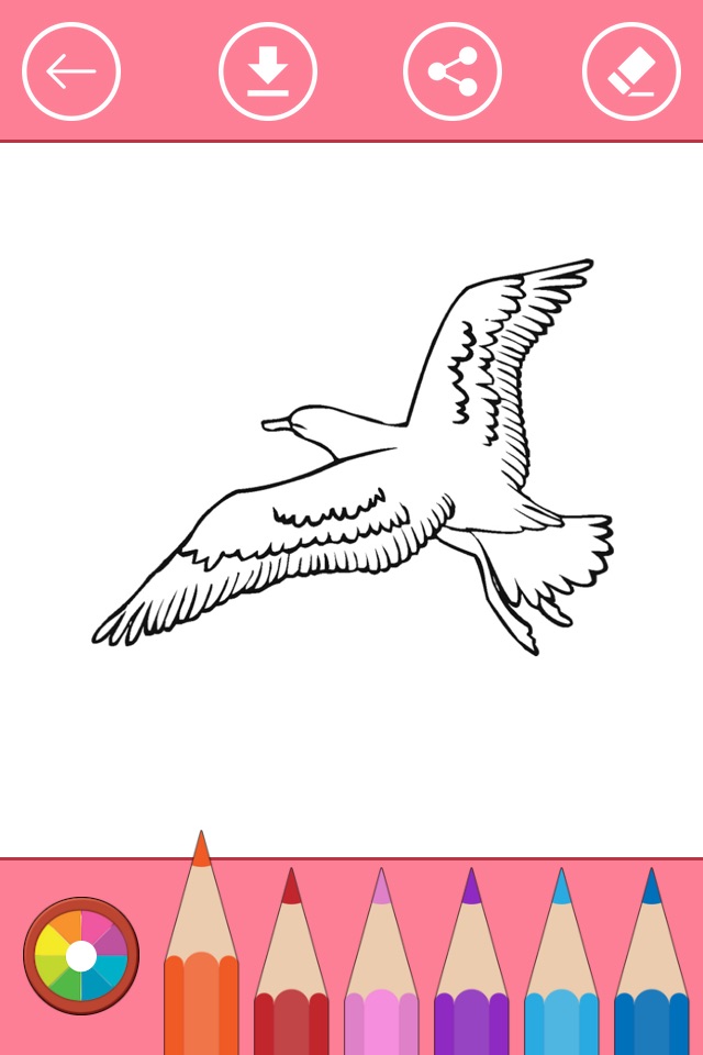 Bird Coloring Book for Kids: Learn to color & draw screenshot 4