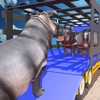 Wild Animal Rescue Truck Transport - Cattle Market