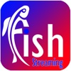 Fish Streaming