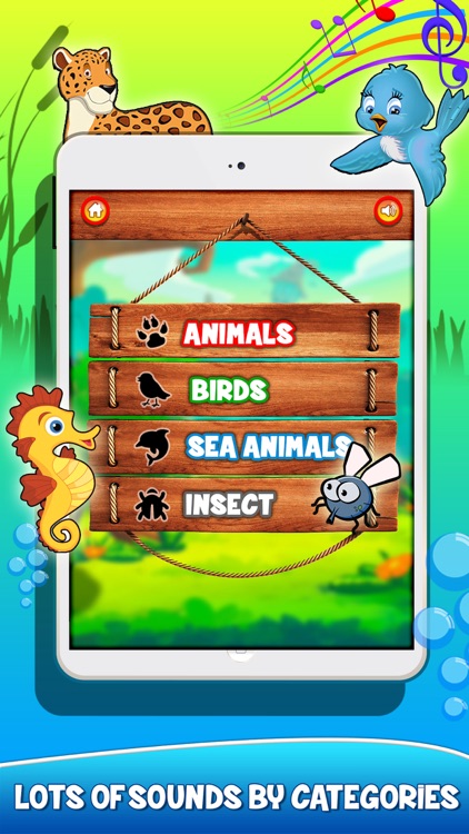 Animal Zoo - Sounds For Kids