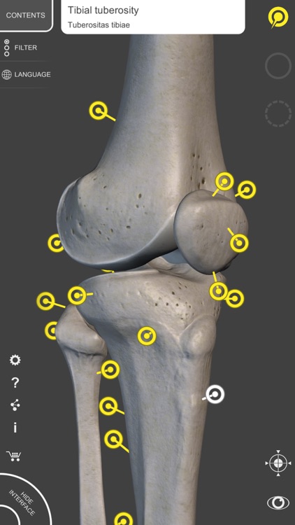 Skeleton - 3D Atlas of Anatomy screenshot-4