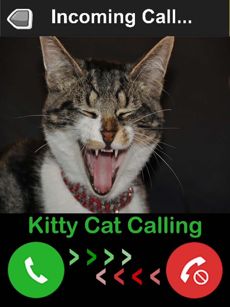 【图】Kitty Cat Fake Phone Call – Birthday Surprise(截图3)