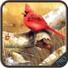 New Generation Bird Hunting Adventure