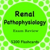 Renal Pathophysiology Exam Review 5200 Study Notes