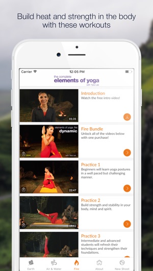 Elements of Yoga Video Collection - with Tara Lee(圖4)-速報App