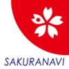 SAKURA NAVI