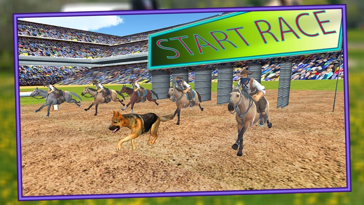 Crazy Dog Race : Real Racing Adventure Game screenshot-3