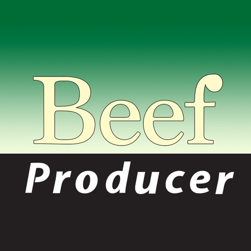 Beef Producer