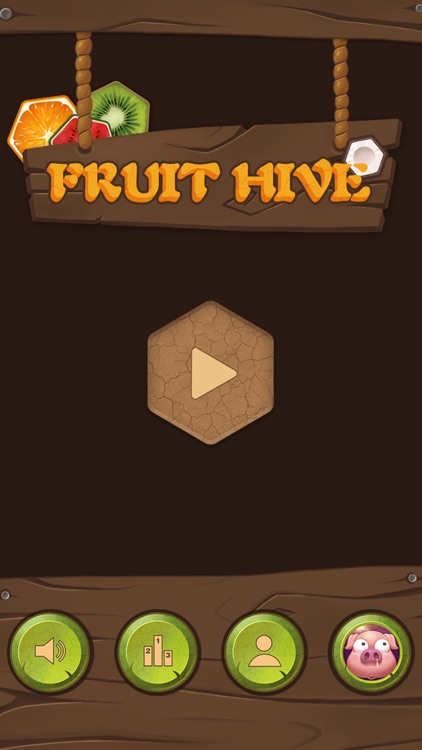 Fruit Hive-puzzle games