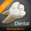 BoneBox™ - Dental Pro - iSO-FORM, LLC