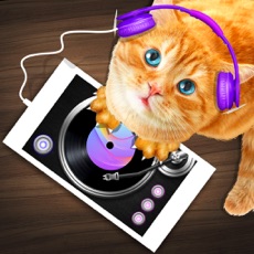 Activities of DJ Cat Real Simulator
