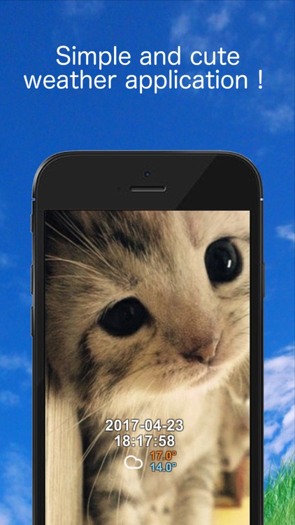 Kitten weather app